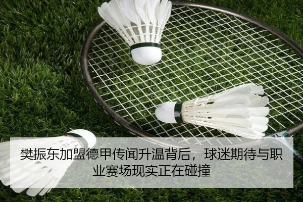 樊振东加盟德甲传闻升温背后，球迷期待与职业赛场现实正在碰撞